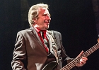 The Shaggy Dogs : Red (chant et harmonica), Guillermo (batterie), Jacker (guitare) et Toma (basse)