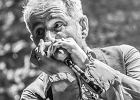 The Shaggy Dogs : Red (chant et harmonica), Guillermo (batterie), Jacker (guitare) et Toma (basse)