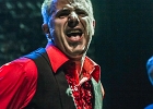 The Shaggy Dogs : Red (chant et harmonica), Guillermo (batterie), Jacker (guitare) et Toma (basse)