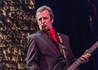 The Shaggy Dogs : Red (chant et harmonica), Guillermo (batterie), Jacker (guitare) et Toma (basse)