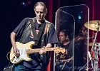 Walter Trout