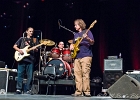 Walter Trout