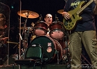 Walter Trout