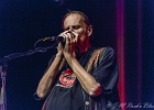 Walter Trout