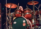 Walter Trout