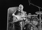 Walter Trout