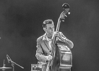 3S1A7458  James Harman (chant, harmonica),  Anthony Stelmaszack  (guitare), Thibaut Chopin (basse), Fabrice Bessouat (batterie),  Julien Brunetaud (piano)