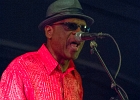 Chicago Blues Festival : Linsey Alexander (chant, guitare), Nellie &#34;Tiger&#34; Travis (chant), Harmonica Hinds (chant, harmonica), Fabrizio &#34;Breezy&#34; Rodio (guitare, chant), Donald Simmons (basse), Pooky Styx (batterie)