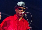Chicago Blues Festival : Linsey Alexander (chant, guitare), Nellie &#34;Tiger&#34; Travis (chant), Harmonica Hinds (chant, harmonica), Fabrizio &#34;Breezy&#34; Rodio (guitare, chant), Donald Simmons (basse), Pooky Styx (batterie)