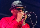 Chicago Blues Festival : Linsey Alexander (chant, guitare), Nellie &#34;Tiger&#34; Travis (chant), Harmonica Hinds (chant, harmonica), Fabrizio &#34;Breezy&#34; Rodio (guitare, chant), Donald Simmons (basse), Pooky Styx (batterie)