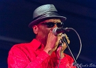 Chicago Blues Festival : Linsey Alexander (chant, guitare), Nellie &#34;Tiger&#34; Travis (chant), Harmonica Hinds (chant, harmonica), Fabrizio &#34;Breezy&#34; Rodio (guitare, chant), Donald Simmons (basse), Pooky Styx (batterie)