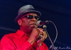 Chicago Blues Festival : Linsey Alexander (chant, guitare), Nellie &#34;Tiger&#34; Travis (chant), Harmonica Hinds (chant, harmonica), Fabrizio &#34;Breezy&#34; Rodio (guitare, chant), Donald Simmons (basse), Pooky Styx (batterie)