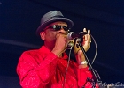 Chicago Blues Festival : Linsey Alexander (chant, guitare), Nellie &#34;Tiger&#34; Travis (chant), Harmonica Hinds (chant, harmonica), Fabrizio &#34;Breezy&#34; Rodio (guitare, chant), Donald Simmons (basse), Pooky Styx (batterie)