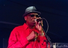 Chicago Blues Festival : Linsey Alexander (chant, guitare), Nellie &#34;Tiger&#34; Travis (chant), Harmonica Hinds (chant, harmonica), Fabrizio &#34;Breezy&#34; Rodio (guitare, chant), Donald Simmons (basse), Pooky Styx (batterie)