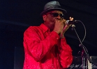 Chicago Blues Festival : Linsey Alexander (chant, guitare), Nellie &#34;Tiger&#34; Travis (chant), Harmonica Hinds (chant, harmonica), Fabrizio &#34;Breezy&#34; Rodio (guitare, chant), Donald Simmons (basse), Pooky Styx (batterie)