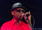 Chicago Blues Festival : Linsey Alexander (chant, guitare), Nellie &#34;Tiger&#34; Travis (chant), Harmonica Hinds (chant, harmonica), Fabrizio &#34;Breezy&#34; Rodio (guitare, chant), Donald Simmons (basse), Pooky Styx (batterie)