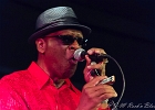 Chicago Blues Festival : Linsey Alexander (chant, guitare), Nellie &#34;Tiger&#34; Travis (chant), Harmonica Hinds (chant, harmonica), Fabrizio &#34;Breezy&#34; Rodio (guitare, chant), Donald Simmons (basse), Pooky Styx (batterie)