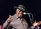Chicago Blues Festival : Linsey Alexander (chant, guitare), Nellie &#34;Tiger&#34; Travis (chant), Harmonica Hinds (chant, harmonica), Fabrizio &#34;Breezy&#34; Rodio (guitare, chant), Donald Simmons (basse), Pooky Styx (batterie)