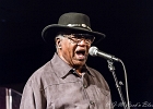 Chicago Blues Festival : Linsey Alexander (chant, guitare), Nellie &#34;Tiger&#34; Travis (chant), Harmonica Hinds (chant, harmonica), Fabrizio &#34;Breezy&#34; Rodio (guitare, chant), Donald Simmons (basse), Pooky Styx (batterie)