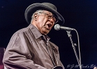 Chicago Blues Festival : Linsey Alexander (chant, guitare), Nellie &#34;Tiger&#34; Travis (chant), Harmonica Hinds (chant, harmonica), Fabrizio &#34;Breezy&#34; Rodio (guitare, chant), Donald Simmons (basse), Pooky Styx (batterie)