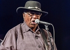Chicago Blues Festival : Linsey Alexander (chant, guitare), Nellie &#34;Tiger&#34; Travis (chant), Harmonica Hinds (chant, harmonica), Fabrizio &#34;Breezy&#34; Rodio (guitare, chant), Donald Simmons (basse), Pooky Styx (batterie)