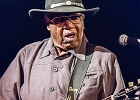 Chicago Blues Festival : Linsey Alexander (chant, guitare), Nellie &#34;Tiger&#34; Travis (chant), Harmonica Hinds (chant, harmonica), Fabrizio &#34;Breezy&#34; Rodio (guitare, chant), Donald Simmons (basse), Pooky Styx (batterie)