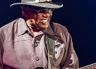 Chicago Blues Festival : Linsey Alexander (chant, guitare), Nellie &#34;Tiger&#34; Travis (chant), Harmonica Hinds (chant, harmonica), Fabrizio &#34;Breezy&#34; Rodio (guitare, chant), Donald Simmons (basse), Pooky Styx (batterie)
