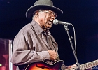 Chicago Blues Festival : Linsey Alexander (chant, guitare), Nellie &#34;Tiger&#34; Travis (chant), Harmonica Hinds (chant, harmonica), Fabrizio &#34;Breezy&#34; Rodio (guitare, chant), Donald Simmons (basse), Pooky Styx (batterie)