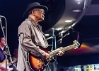 Chicago Blues Festival : Linsey Alexander (chant, guitare), Nellie &#34;Tiger&#34; Travis (chant), Harmonica Hinds (chant, harmonica), Fabrizio &#34;Breezy&#34; Rodio (guitare, chant), Donald Simmons (basse), Pooky Styx (batterie)