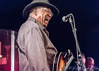 Chicago Blues Festival : Linsey Alexander (chant, guitare), Nellie &#34;Tiger&#34; Travis (chant), Harmonica Hinds (chant, harmonica), Fabrizio &#34;Breezy&#34; Rodio (guitare, chant), Donald Simmons (basse), Pooky Styx (batterie)