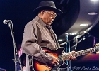 Chicago Blues Festival : Linsey Alexander (chant, guitare), Nellie &#34;Tiger&#34; Travis (chant), Harmonica Hinds (chant, harmonica), Fabrizio &#34;Breezy&#34; Rodio (guitare, chant), Donald Simmons (basse), Pooky Styx (batterie)