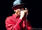 Chicago Blues Festival : Linsey Alexander (chant, guitare), Nellie &#34;Tiger&#34; Travis (chant), Harmonica Hinds (chant, harmonica), Fabrizio &#34;Breezy&#34; Rodio (guitare, chant), Donald Simmons (basse), Pooky Styx (batterie)
