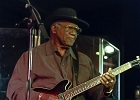 Chicago Blues Festival : Linsey Alexander (chant, guitare), Nellie &#34;Tiger&#34; Travis (chant), Harmonica Hinds (chant, harmonica), Fabrizio &#34;Breezy&#34; Rodio (guitare, chant), Donald Simmons (basse), Pooky Styx (batterie)
