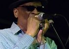 Chicago Blues Festival : Linsey Alexander (chant, guitare), Nellie &#34;Tiger&#34; Travis (chant), Harmonica Hinds (chant, harmonica), Fabrizio &#34;Breezy&#34; Rodio (guitare, chant), Donald Simmons (basse), Pooky Styx (batterie)