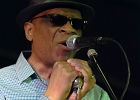 Chicago Blues Festival : Linsey Alexander (chant, guitare), Nellie &#34;Tiger&#34; Travis (chant), Harmonica Hinds (chant, harmonica), Fabrizio &#34;Breezy&#34; Rodio (guitare, chant), Donald Simmons (basse), Pooky Styx (batterie)
