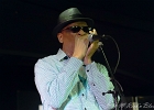Chicago Blues Festival : Linsey Alexander (chant, guitare), Nellie &#34;Tiger&#34; Travis (chant), Harmonica Hinds (chant, harmonica), Fabrizio &#34;Breezy&#34; Rodio (guitare, chant), Donald Simmons (basse), Pooky Styx (batterie)
