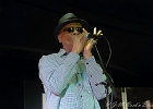 Chicago Blues Festival : Linsey Alexander (chant, guitare), Nellie &#34;Tiger&#34; Travis (chant), Harmonica Hinds (chant, harmonica), Fabrizio &#34;Breezy&#34; Rodio (guitare, chant), Donald Simmons (basse), Pooky Styx (batterie)