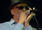 Chicago Blues Festival : Linsey Alexander (chant, guitare), Nellie &#34;Tiger&#34; Travis (chant), Harmonica Hinds (chant, harmonica), Fabrizio &#34;Breezy&#34; Rodio (guitare, chant), Donald Simmons (basse), Pooky Styx (batterie)