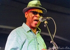 Chicago Blues Festival : Linsey Alexander (chant, guitare), Nellie &#34;Tiger&#34; Travis (chant), Harmonica Hinds (chant, harmonica), Fabrizio &#34;Breezy&#34; Rodio (guitare, chant), Donald Simmons (basse), Pooky Styx (batterie)