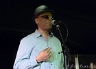 Chicago Blues Festival : Linsey Alexander (chant, guitare), Nellie &#34;Tiger&#34; Travis (chant), Harmonica Hinds (chant, harmonica), Fabrizio &#34;Breezy&#34; Rodio (guitare, chant), Donald Simmons (basse), Pooky Styx (batterie)