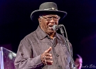 Chicago Blues Festival : Linsey Alexander (chant, guitare), Nellie &#34;Tiger&#34; Travis (chant), Harmonica Hinds (chant, harmonica), Fabrizio &#34;Breezy&#34; Rodio (guitare, chant), Donald Simmons (basse), Pooky Styx (batterie)