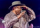 Chicago Blues Festival : Linsey Alexander (chant, guitare), Nellie &#34;Tiger&#34; Travis (chant), Harmonica Hinds (chant, harmonica), Fabrizio &#34;Breezy&#34; Rodio (guitare, chant), Donald Simmons (basse), Pooky Styx (batterie)