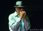 Chicago Blues Festival : Linsey Alexander (chant, guitare), Nellie &#34;Tiger&#34; Travis (chant), Harmonica Hinds (chant, harmonica), Fabrizio &#34;Breezy&#34; Rodio (guitare, chant), Donald Simmons (basse), Pooky Styx (batterie)
