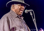 Chicago Blues Festival : Linsey Alexander (chant, guitare), Nellie &#34;Tiger&#34; Travis (chant), Harmonica Hinds (chant, harmonica), Fabrizio &#34;Breezy&#34; Rodio (guitare, chant), Donald Simmons (basse), Pooky Styx (batterie)