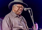 Chicago Blues Festival : Linsey Alexander (chant, guitare), Nellie &#34;Tiger&#34; Travis (chant), Harmonica Hinds (chant, harmonica), Fabrizio &#34;Breezy&#34; Rodio (guitare, chant), Donald Simmons (basse), Pooky Styx (batterie)