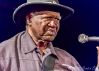 Chicago Blues Festival : Linsey Alexander (chant, guitare), Nellie &#34;Tiger&#34; Travis (chant), Harmonica Hinds (chant, harmonica), Fabrizio &#34;Breezy&#34; Rodio (guitare, chant), Donald Simmons (basse), Pooky Styx (batterie)