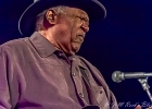 Chicago Blues Festival : Linsey Alexander (chant, guitare), Nellie &#34;Tiger&#34; Travis (chant), Harmonica Hinds (chant, harmonica), Fabrizio &#34;Breezy&#34; Rodio (guitare, chant), Donald Simmons (basse), Pooky Styx (batterie)
