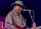 Chicago Blues Festival : Linsey Alexander (chant, guitare), Nellie &#34;Tiger&#34; Travis (chant), Harmonica Hinds (chant, harmonica), Fabrizio &#34;Breezy&#34; Rodio (guitare, chant), Donald Simmons (basse), Pooky Styx (batterie)