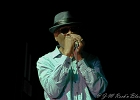 Chicago Blues Festival : Linsey Alexander (chant, guitare), Nellie &#34;Tiger&#34; Travis (chant), Harmonica Hinds (chant, harmonica), Fabrizio &#34;Breezy&#34; Rodio (guitare, chant), Donald Simmons (basse), Pooky Styx (batterie)
