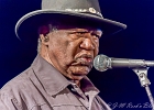 Chicago Blues Festival : Linsey Alexander (chant, guitare), Nellie &#34;Tiger&#34; Travis (chant), Harmonica Hinds (chant, harmonica), Fabrizio &#34;Breezy&#34; Rodio (guitare, chant), Donald Simmons (basse), Pooky Styx (batterie)